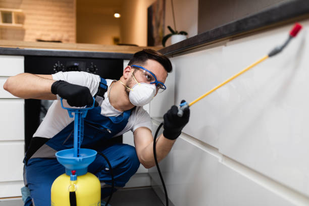 Best Pest Control for Homes  in Newnan, GA