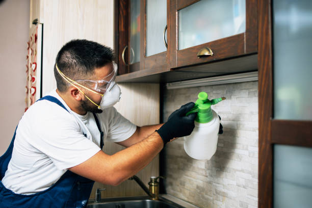 Best Rat Extermination Near Me  in Newnan, GA