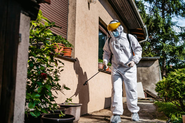 Best Emergency Pest Control  in Newnan, GA