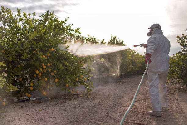 Best Affordable Pest Control Services  in Newnan, GA