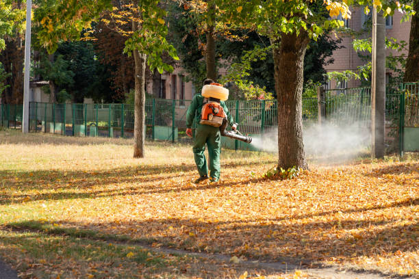 Best Affordable Pest Control Services  in Newnan, GA