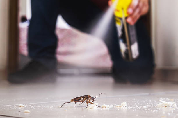  Newnan, GA Pest Control Pros