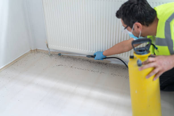 Best Pest Control Cost  in Newnan, GA