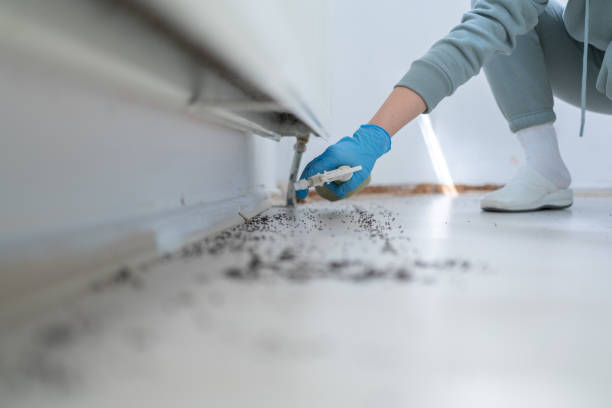 Best Pest Control Near Me  in Newnan, GA