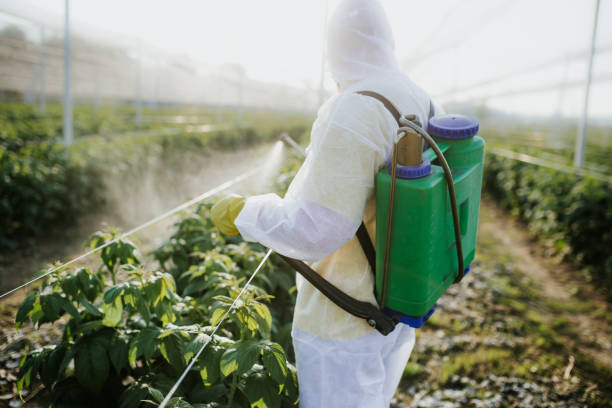 Best Affordable Pest Control Services  in Newnan, GA